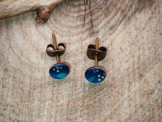 Clous d'oreilles – Lagon polaire