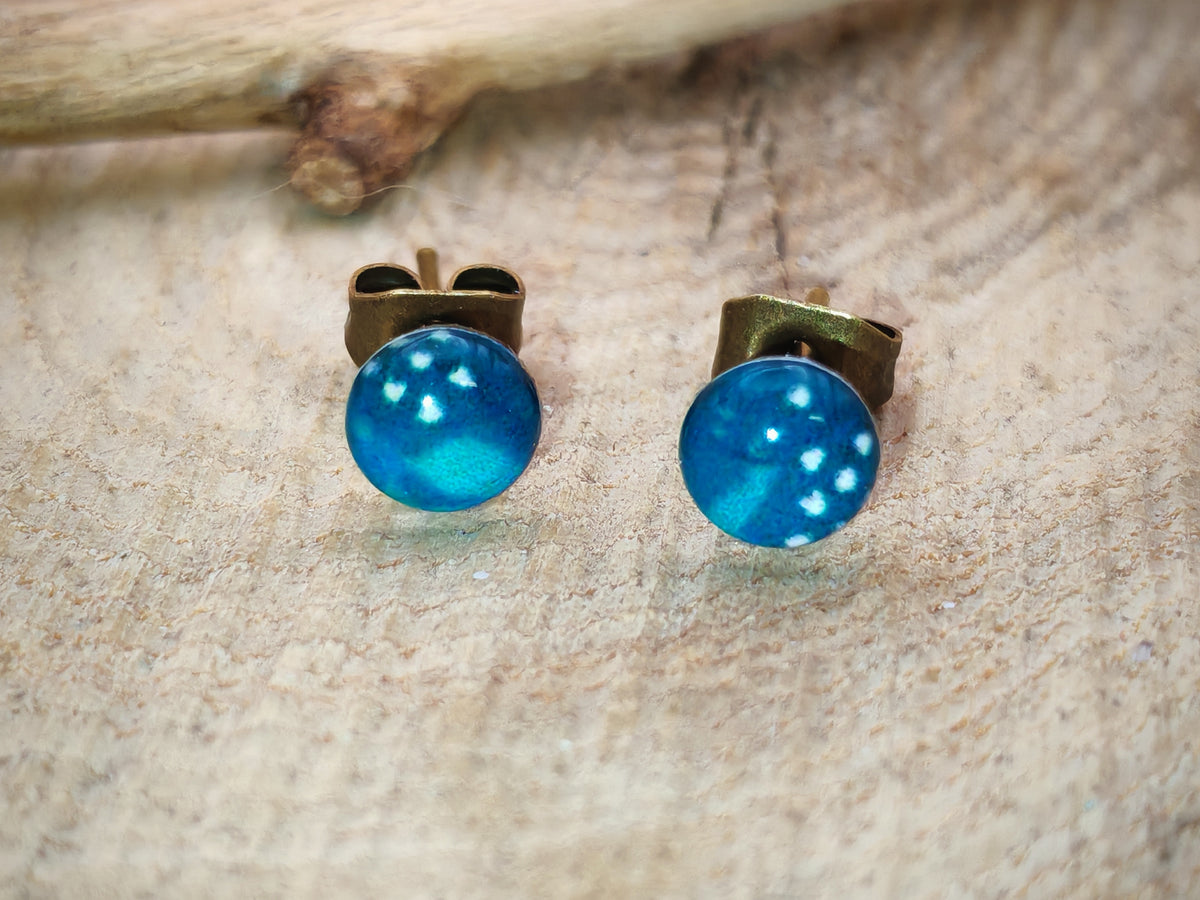 Clous d'oreilles – Lagon polaire
