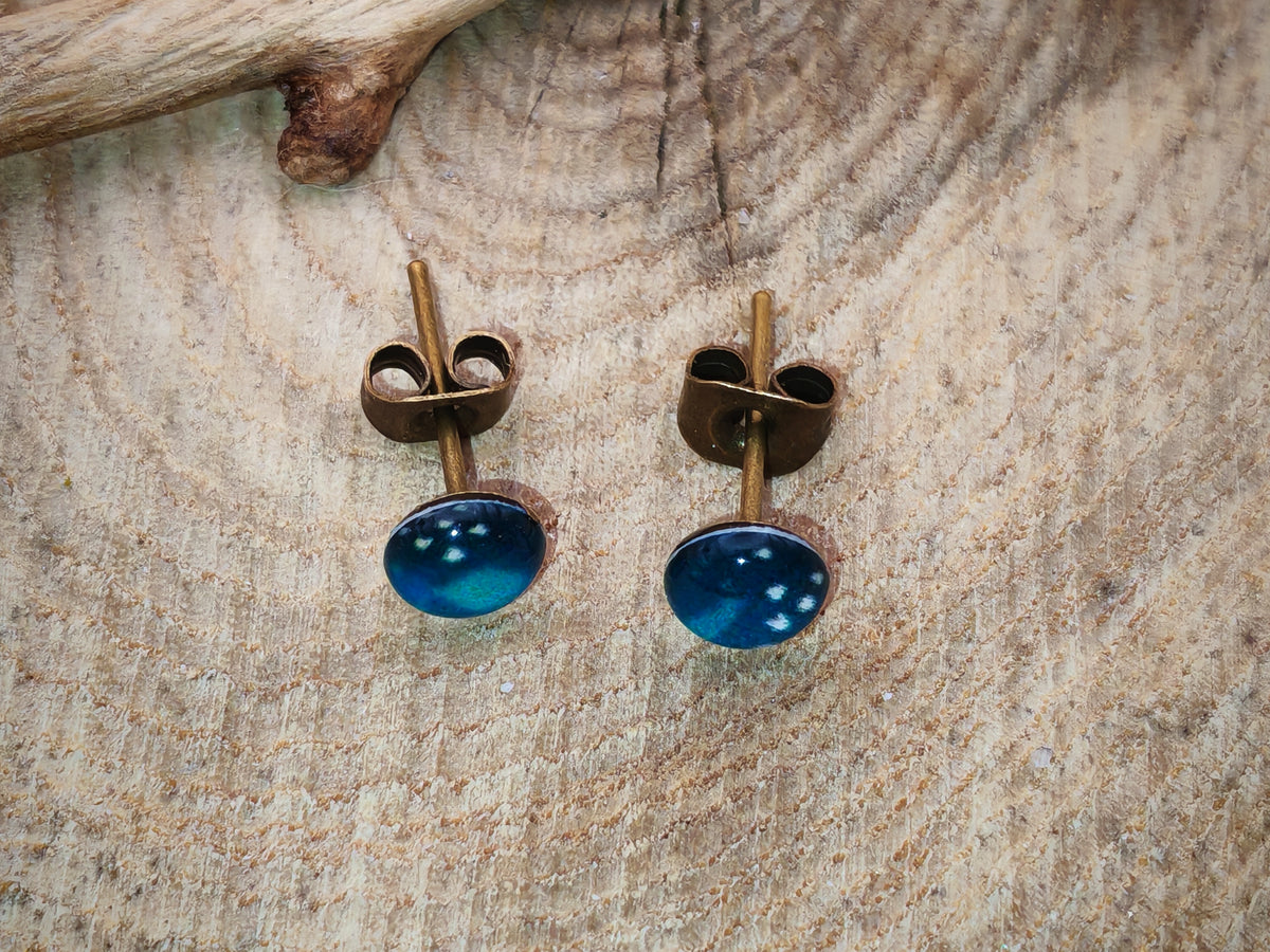 Clous d'oreilles – Lagon polaire