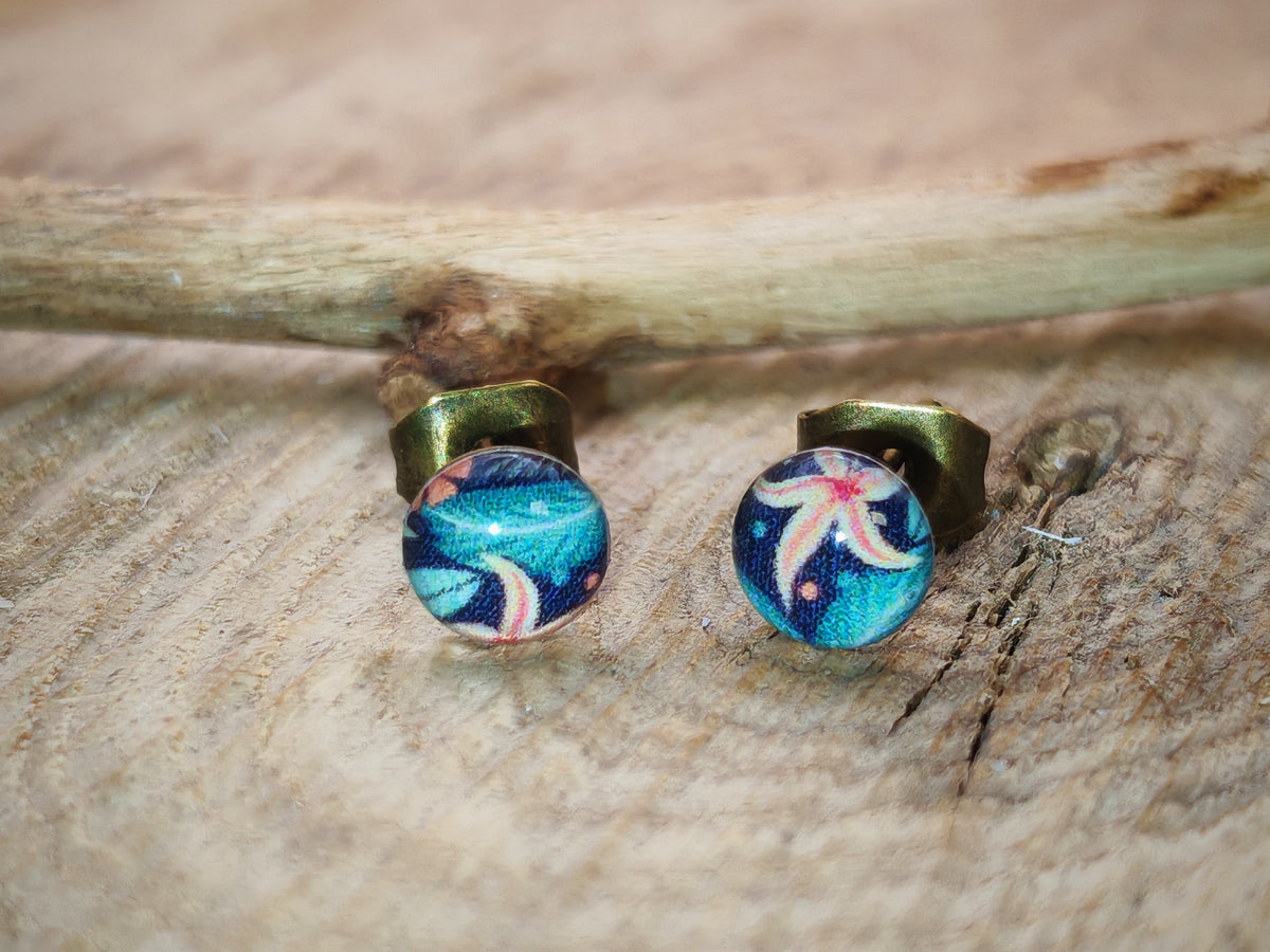 Clous d'oreilles – Étoiles marines colorées