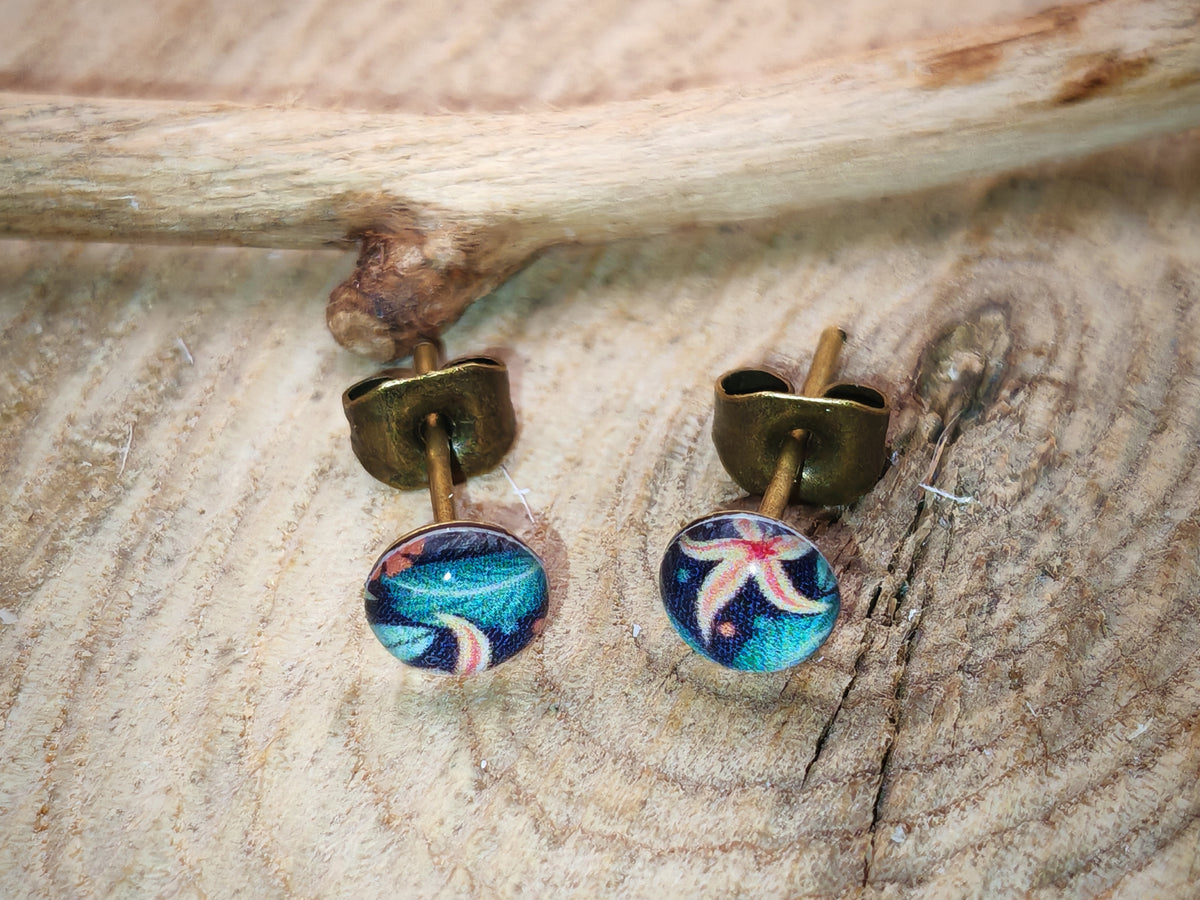 Clous d'oreilles – Étoiles marines colorées