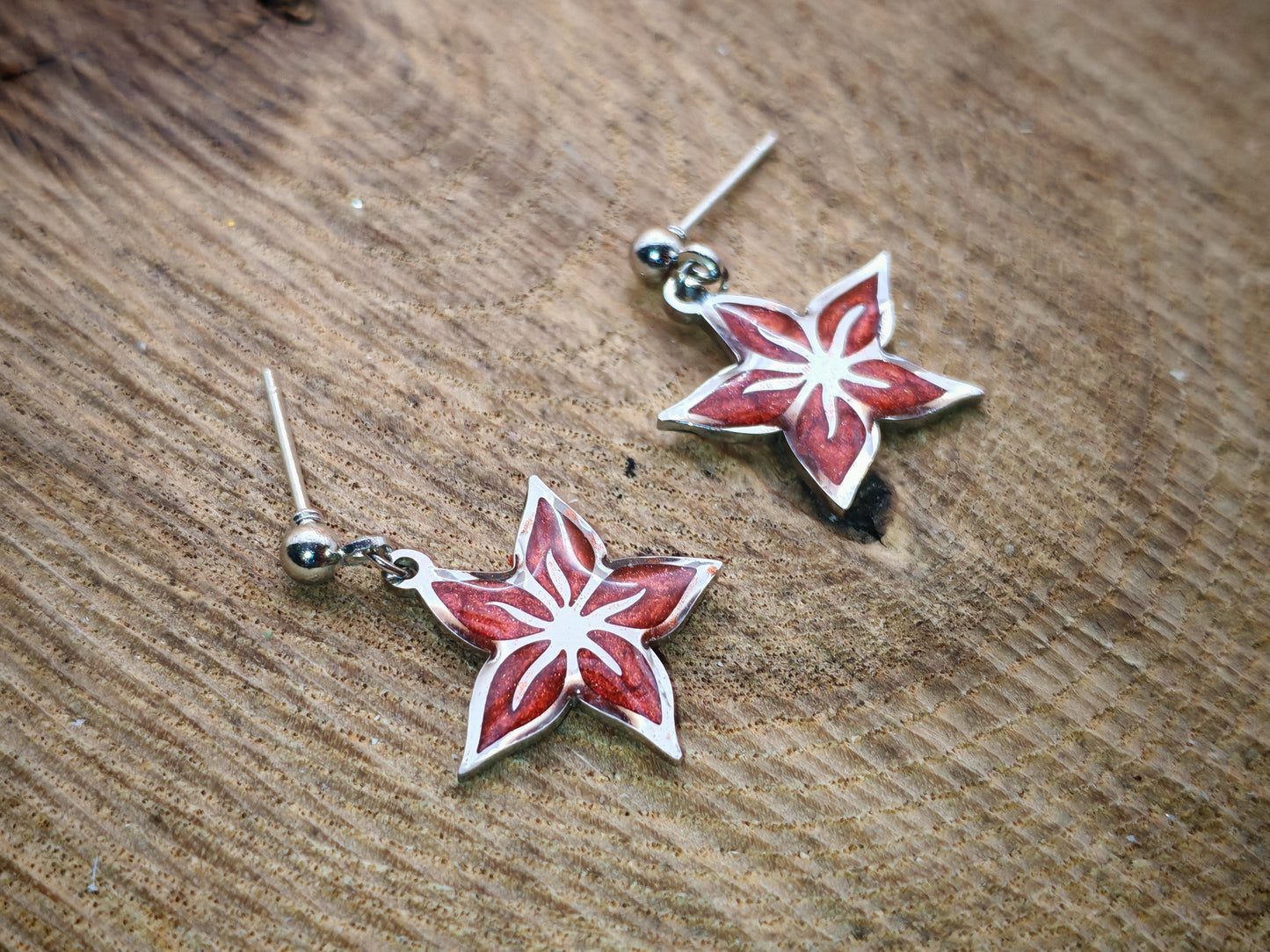 Boucles d’oreilles – Fleurs étoilées argentées