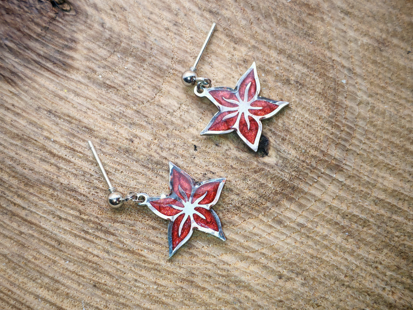 Boucles d’oreilles – Fleurs étoilées argentées