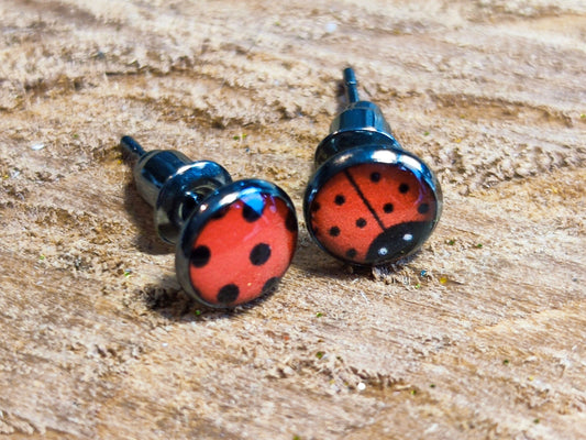 Clous d'oreille, acier inoxydable, cabochon de 6mm de diamètre en résine, sur imprimé motif coccinelle asymétrique, fait main