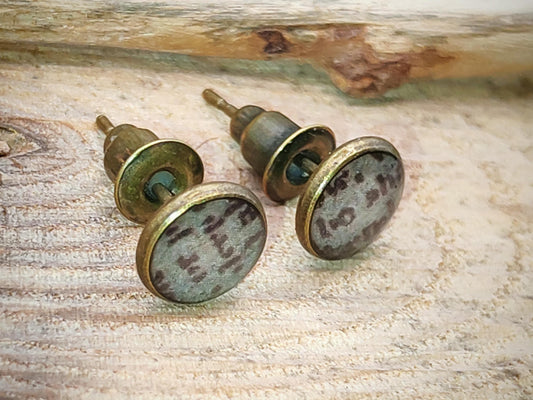 Clous d'oreille, laiton couleur bronze, cabochon de 6mm de diamètre en résine sur imprimé, fait main
